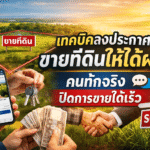 ลงประกาศขายที่ดิน
